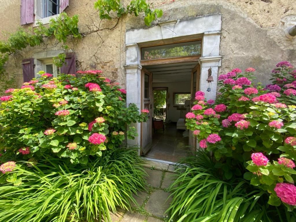Maison D'Hotes-Maison Castaings Lucq-de-Bearn Экстерьер фото